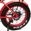 Mini Folding Fat Tire Electric Bike with LED Display